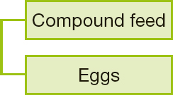 Compound feed, Eggs