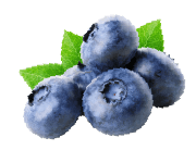 ブルーベリー