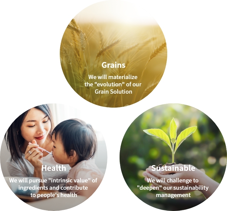 Grains: We will materialize the 