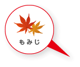 もみじ