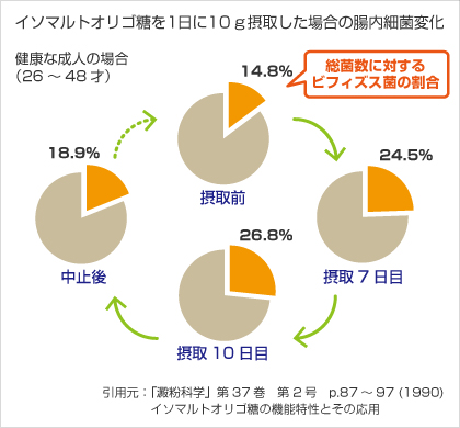 イソマルトオリゴ糖を1日に10g摂取した場合の腸内細菌変化