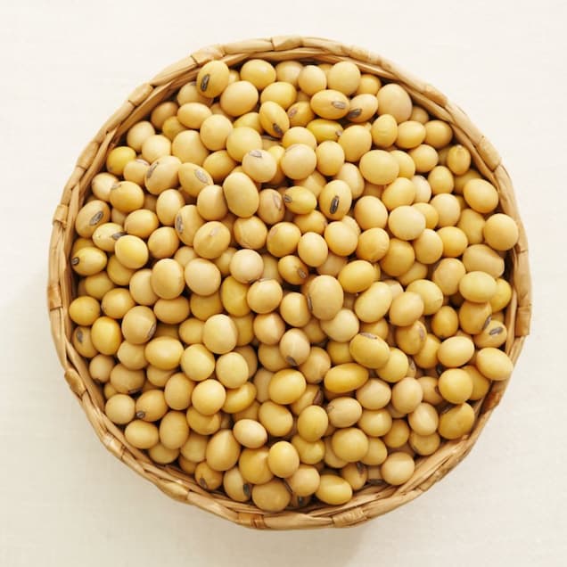 その他大豆製品