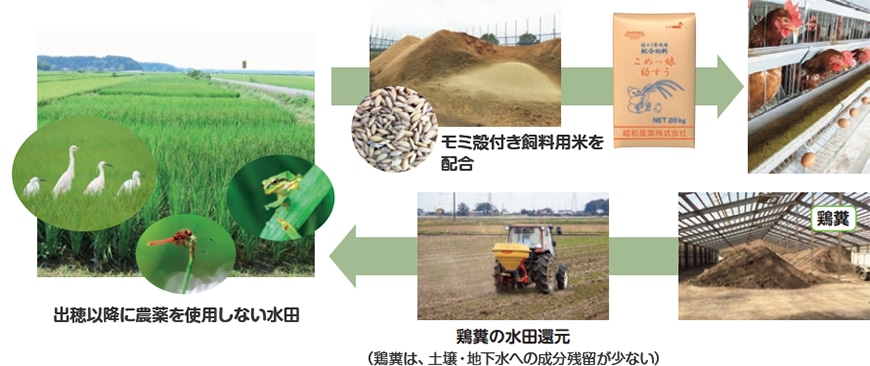 飼料用米による生物多様性