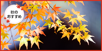 秋のおすすめ天ぷら食材